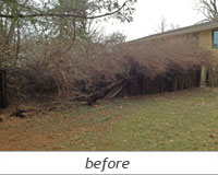 Timber Retaining Wall: Before Photo 1