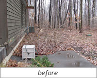 Backyard Oasis: Before Photo 1