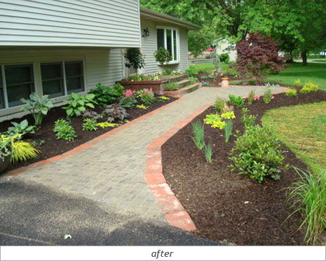 Curb Appeal After Photo 2