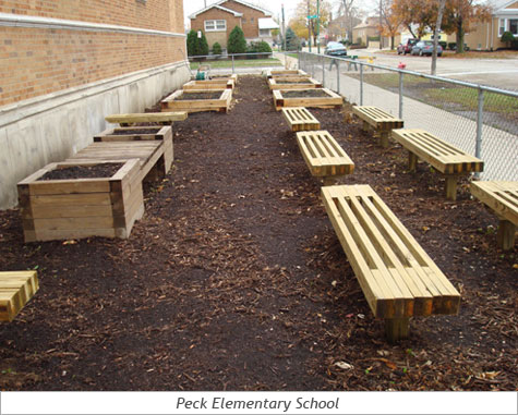 In the Community: Peck Elementary 1