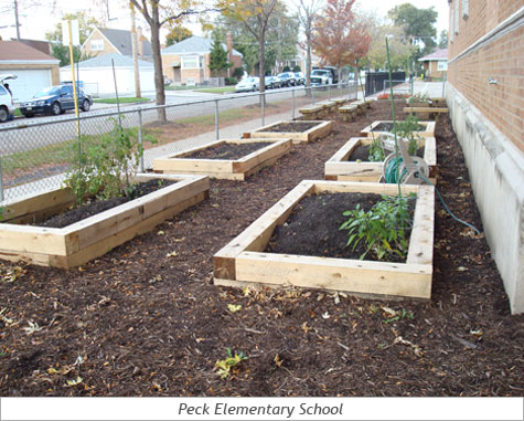 In the Community: Peck Elementary 2