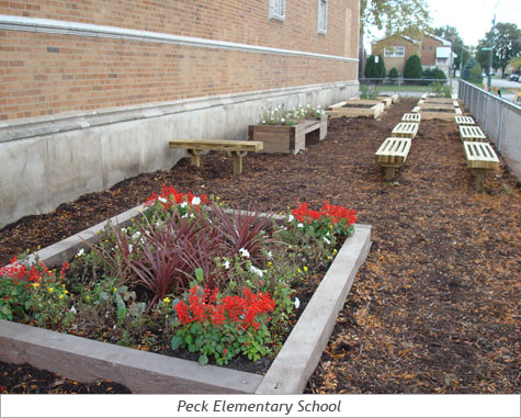 In the Community: Peck Elementary 4