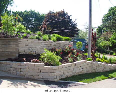 Hillside Beauty: After Photo 5
