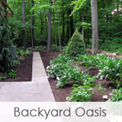 Backyard Oasis