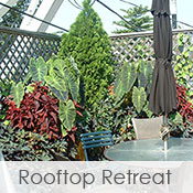 Rooftop Retreats